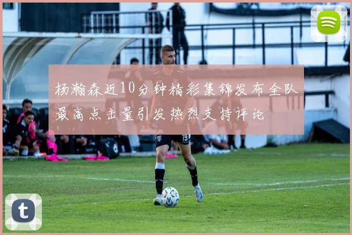 杨瀚森近10分钟精彩集锦发布全队最高点击量引发热烈支持评论